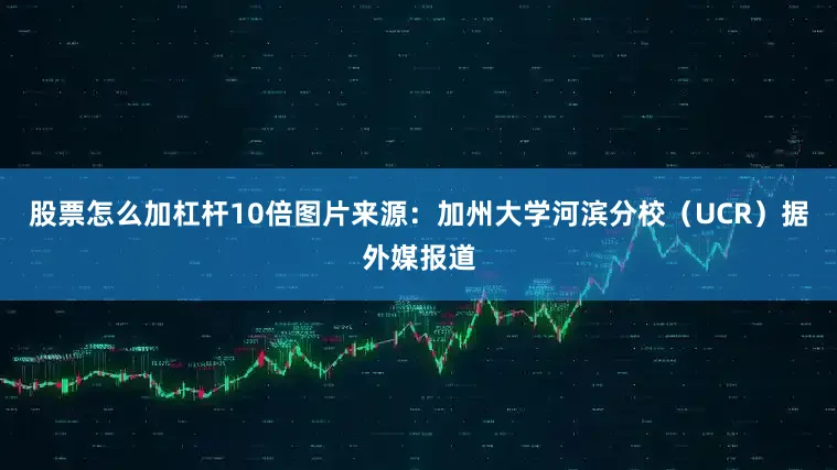 股票怎么加杠杆10倍图片来源：加州大学河滨分校（UCR）据外媒报道
